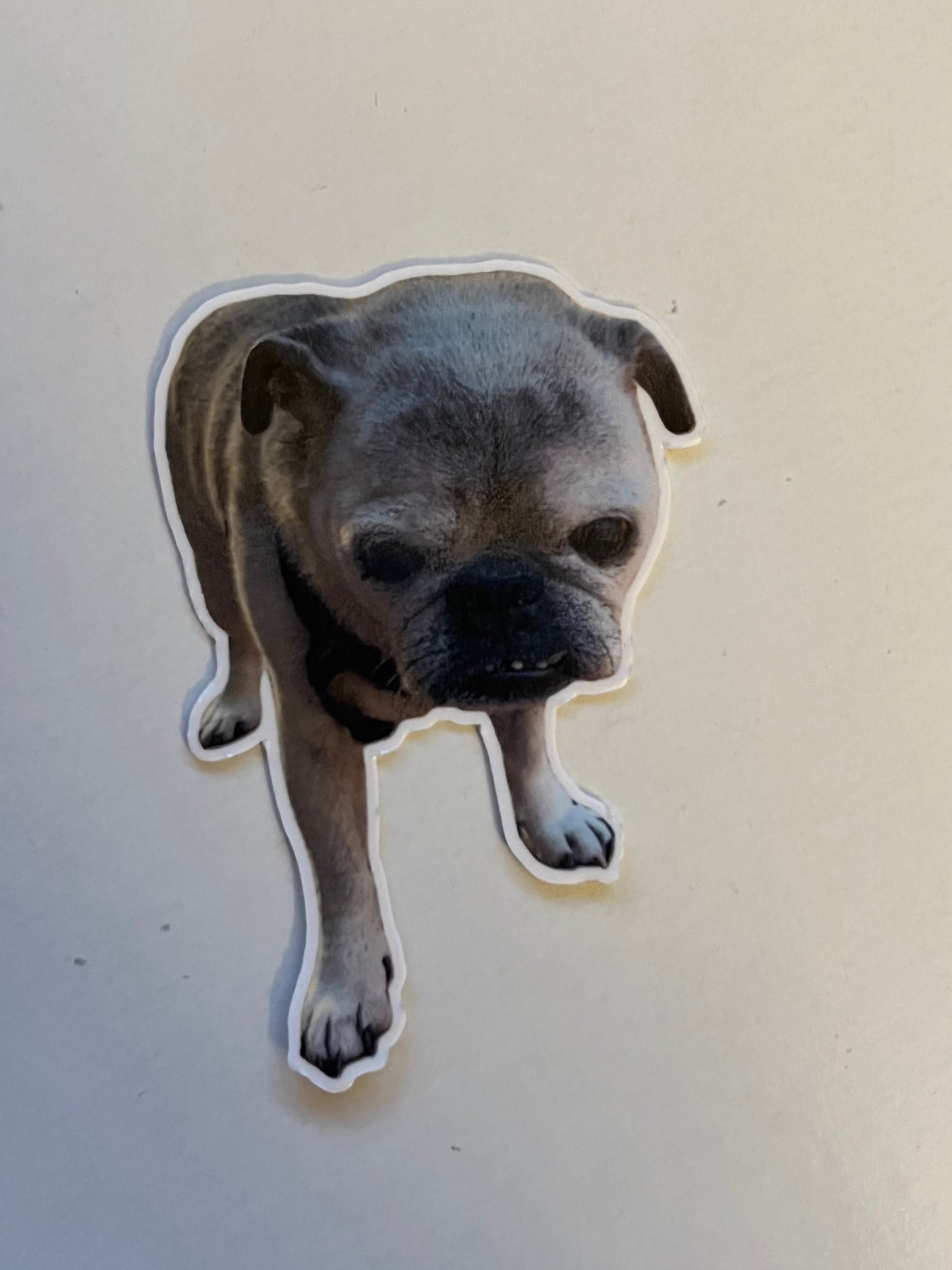 Custom Pet Decal | Custom Decal | Picture into Decal | Pet Memorial | Custom Pet Sticker