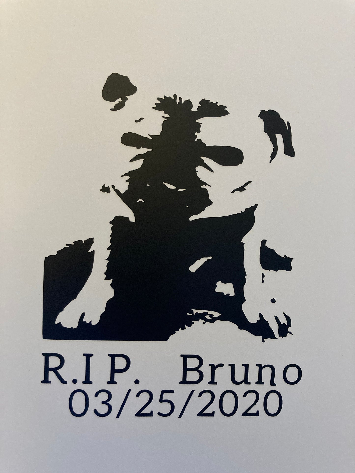 Custom Pet Decal | Custom Decal | Picture into Decal | Pet Memorial | Custom Pet Sticker